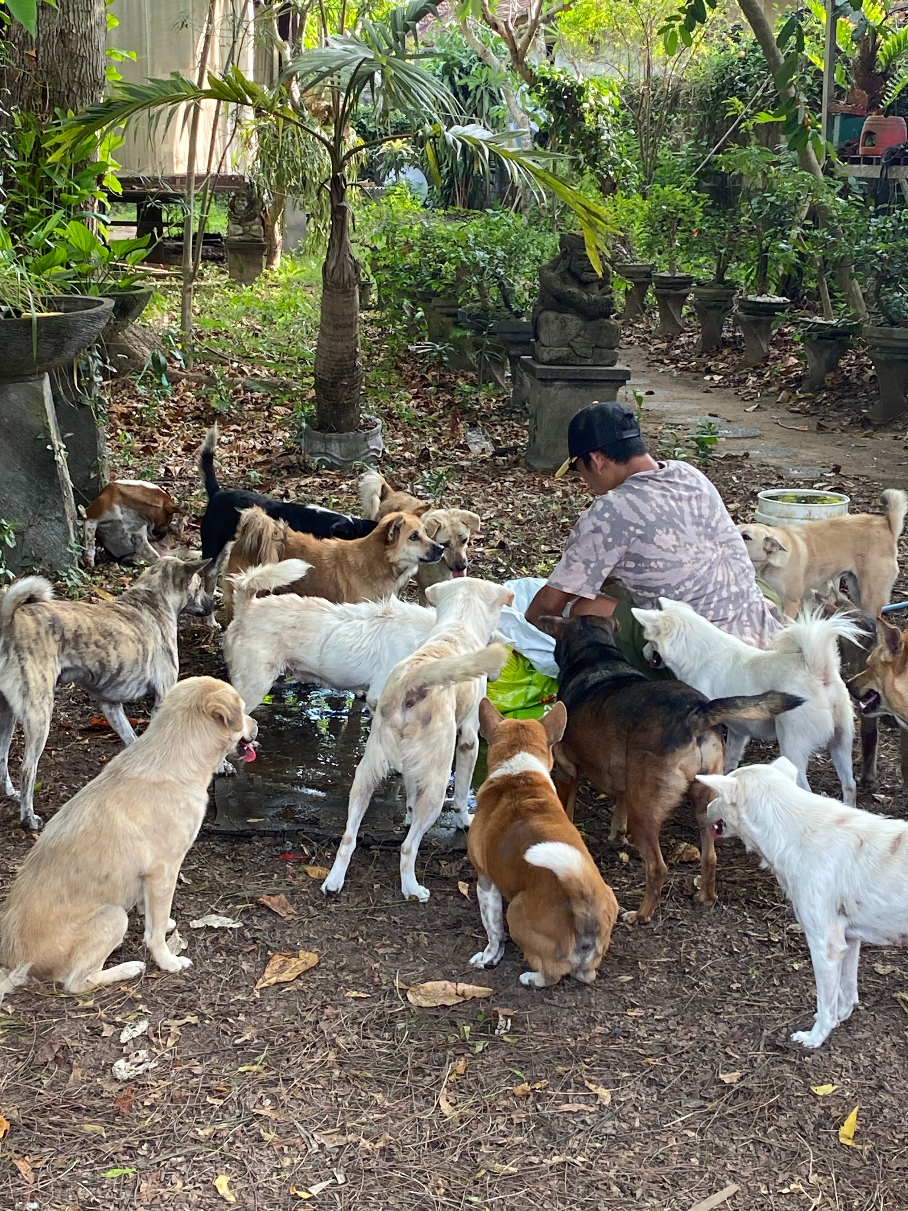 Kali Pocket Lead | Olive