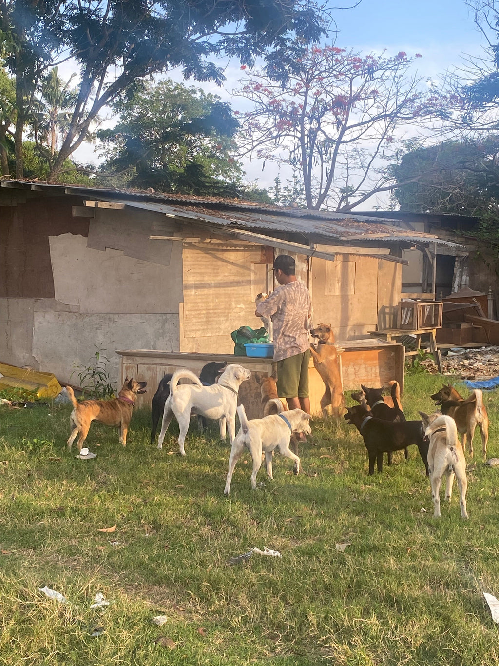 Kali Pocket Lead | Tan