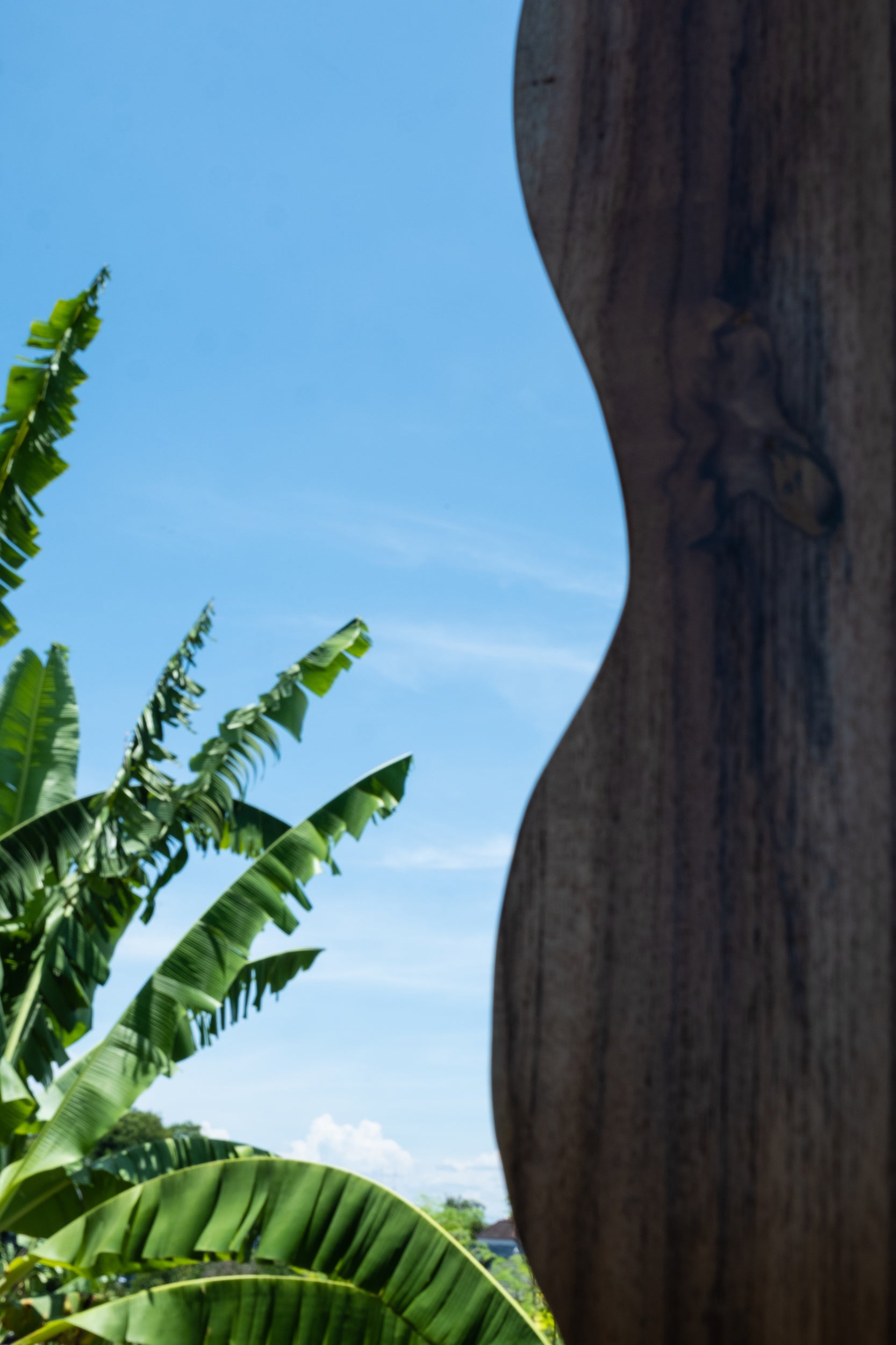 Wave Rectangle Mirror